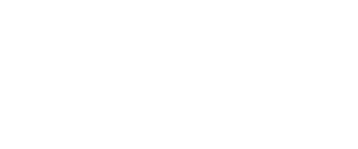 VaynerSports