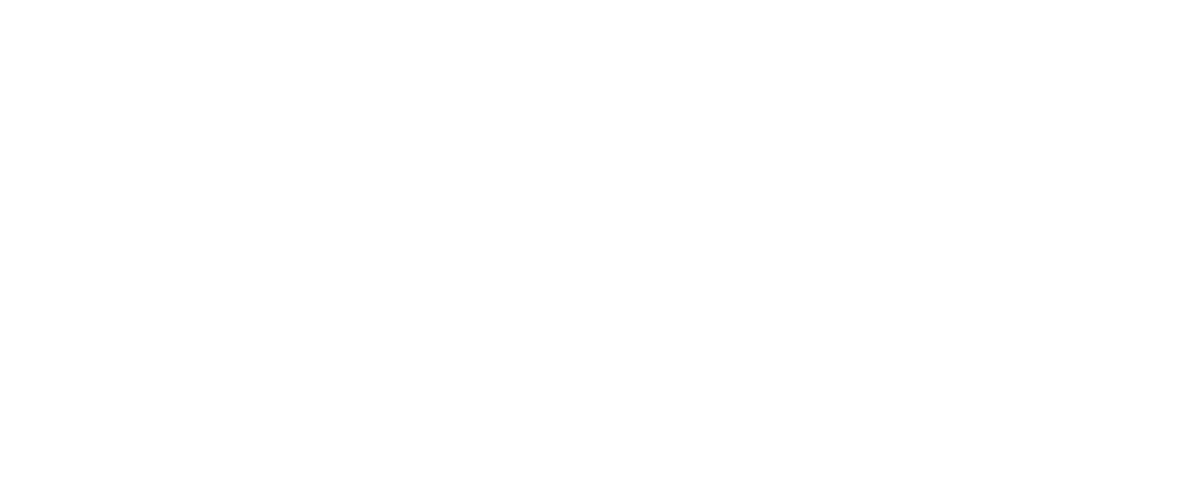 Fight Matrix
